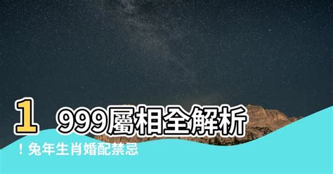 1999年屬|【1999屬相】1999屬相運勢大揭密！你的姻緣、財運全解析